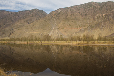 Similar image 21953010