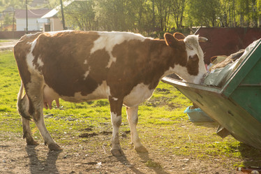 Similar image 21953015