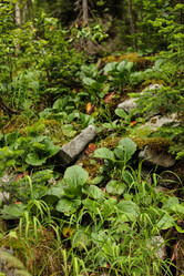 Similar image 21953167