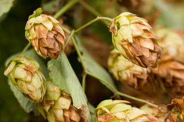 Similar image 21953168