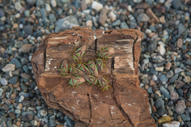 Similar image 21965142