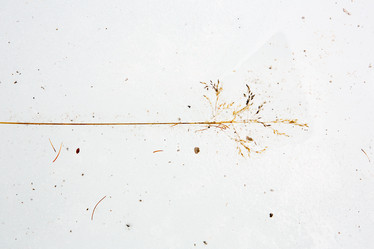 Similar image 21965149