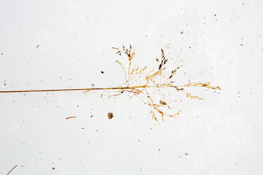 Similar image 21965151