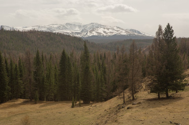 Similar image 21965153