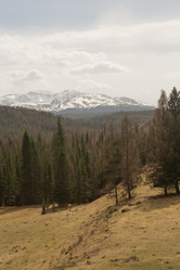 Similar image 21965155