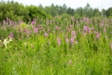 Similar image 21965156