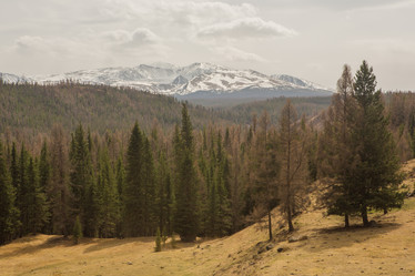 Similar image 21965157