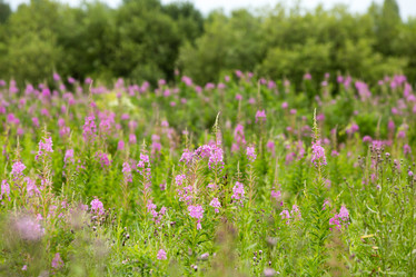 Similar image 21965158