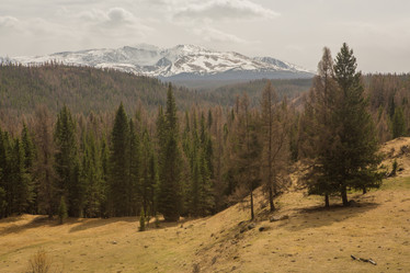 Similar image 21965159