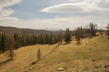 Similar image 21965161