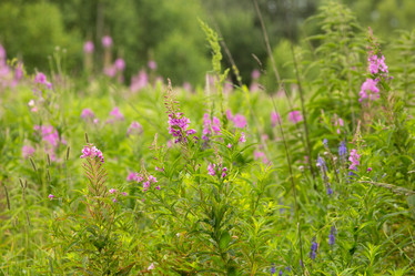 Similar image 21965162