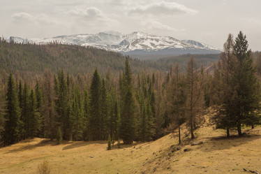 Similar image 21965163