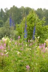 Similar image 21965402