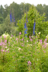 Similar image 21965403