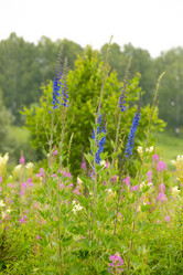 Similar image 21965404