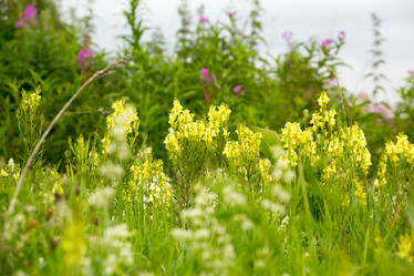 Similar image 21965405