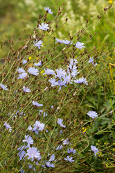 Similar image 21965406