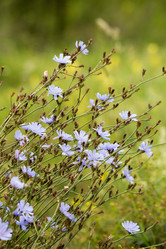 Similar image 21965408