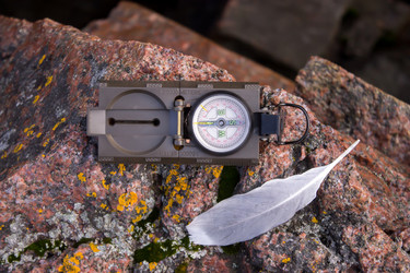 Similar image 21972786