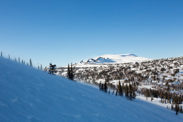 Similar image 21965415