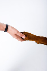 Similar image 21955209