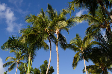 Similar image 21955266