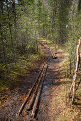 Similar image 21965184