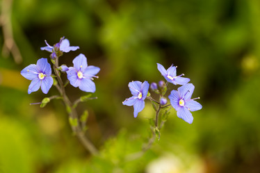 Similar image 21965427