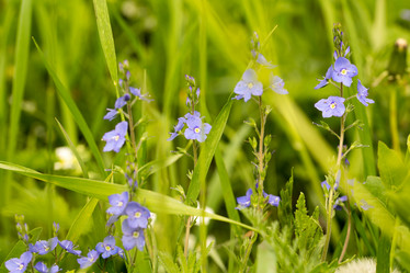 Similar image 21965428