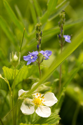 Similar image 21965433