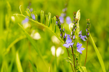 Similar image 21965434