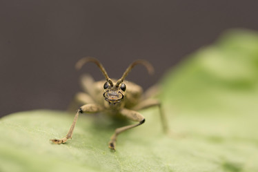 Similar image 21965438