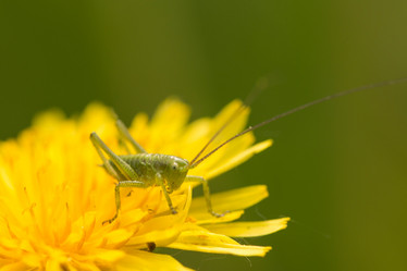 Similar image 21954609