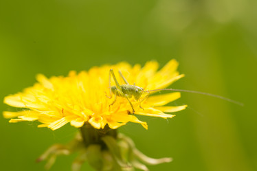 Similar image 21954610