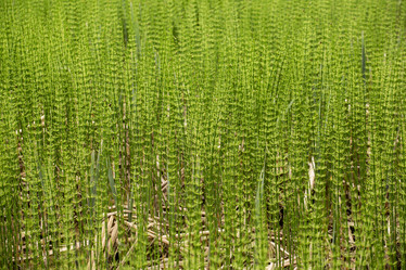 Similar image 21954613