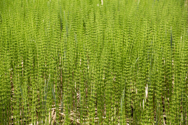 Similar image 21954614