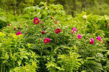 Similar image 21954615