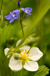 Similar image 21954831