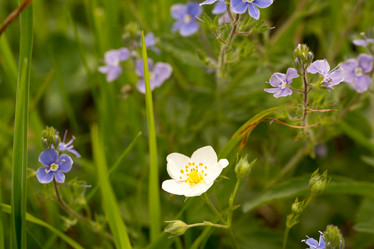 Similar image 21954832