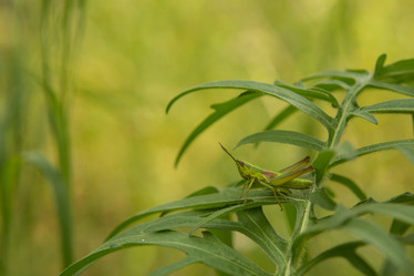 Similar image 21955216