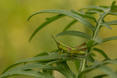 Similar image 21955217