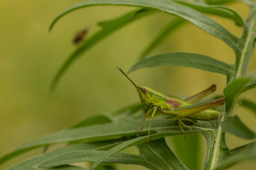 Similar image 21955218