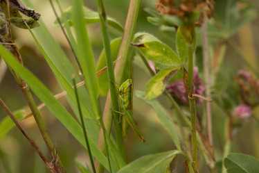 Similar image 21955219