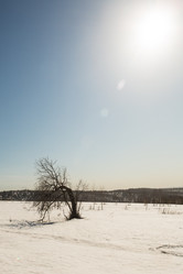 Similar image 21955221