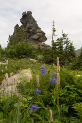 Similar image 21955222