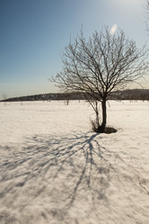 Similar image 21955223