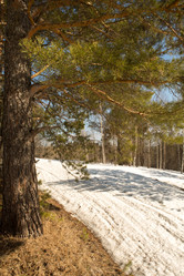 Similar image 21965205