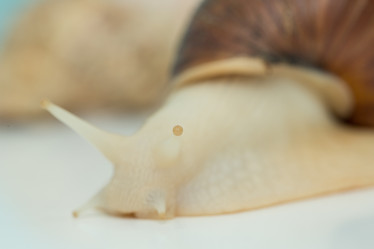 Similar image 21965207