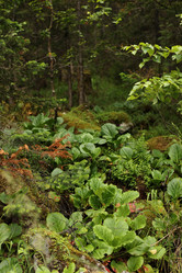 Similar image 21965208