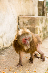 Similar image 21965211